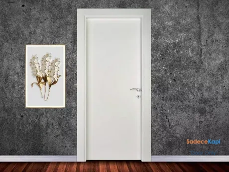 ado door 3000 composite room door