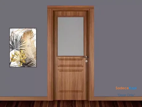 ado door model 301 wooden door with glass
