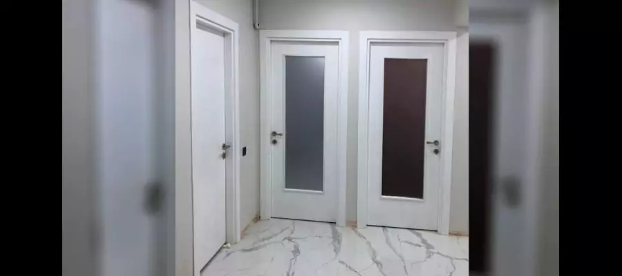 Large Glass and Plain White Lacquered Door