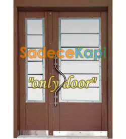 Double Leaf Model 509 Building Entrance Door