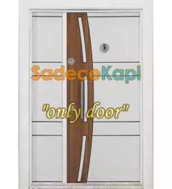 Double Leaf Model 513 Building Entrance Door