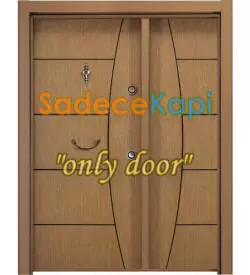 Double Leaf Model 514 Building Entrance Steel Door