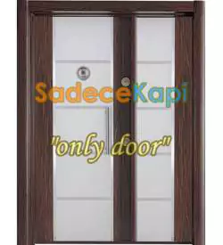 Double Color Model 513 Building Entrance Steel Door
