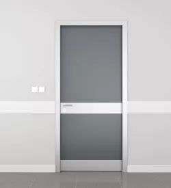 Obsidian Gray Hospital Door with Kick Plate and Stretcher