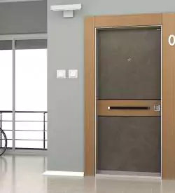 Piedra Modern Steel Door