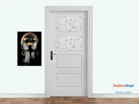 efes double glazed american panel door