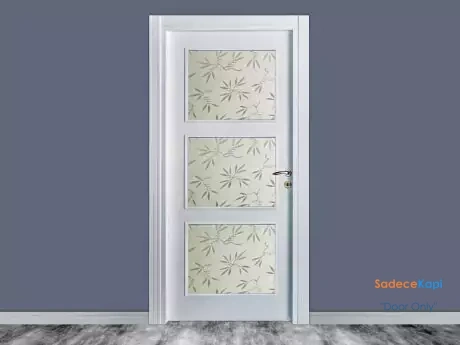 ilgaz three glazed american panel door
