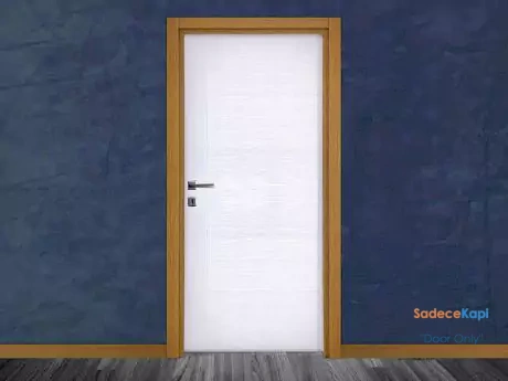 olympos non glass american door