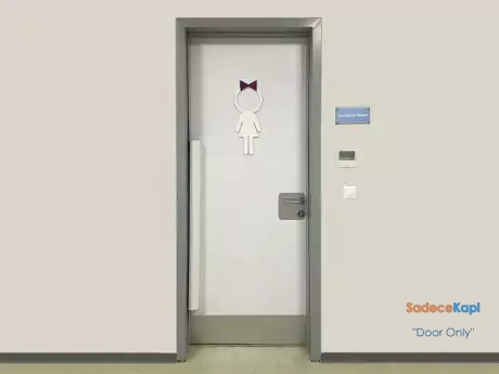 sheet framed panel laminate door