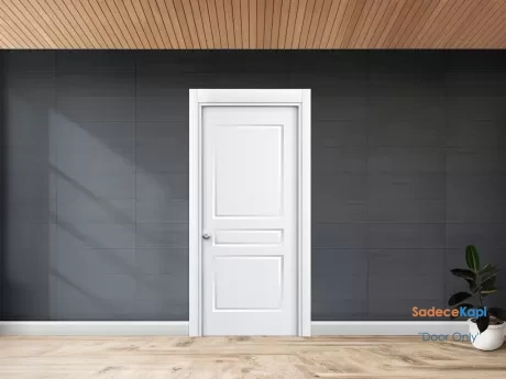 white american lacquer door with three hubs