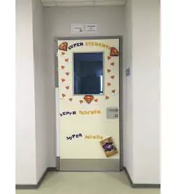 aluminyum kasalı ve pencereli laminat okul kapısı