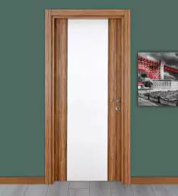 Beyaz Ve Zeytin Renkli High Gloss Kapı, High Gloss Kapı