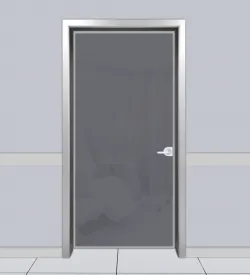 Füme Renkli Eloksal Alüminyum Kasalı Cam Poliklinik Kapısı