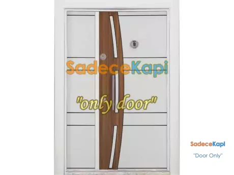 cift kanatli model 513 bina giris kapisi